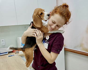 Вакцинация домашних животных в Санкт-Петербурге