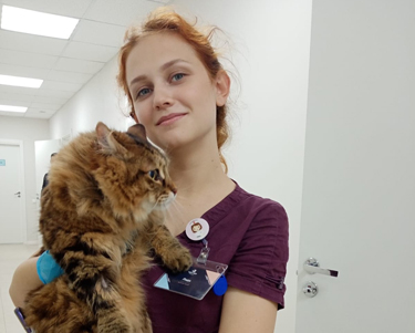 Лечение переломов у домашних животных в Санкт-Петербурге