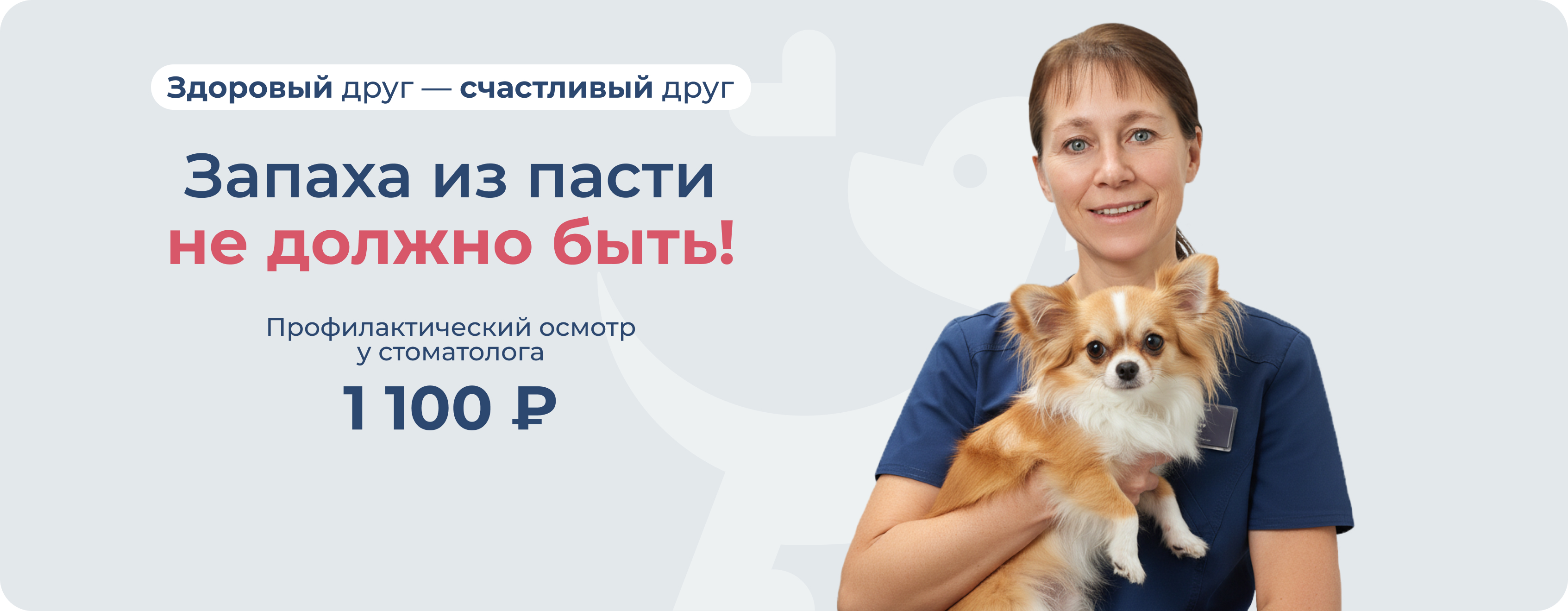Вашим питомцам необходим уход за зубами